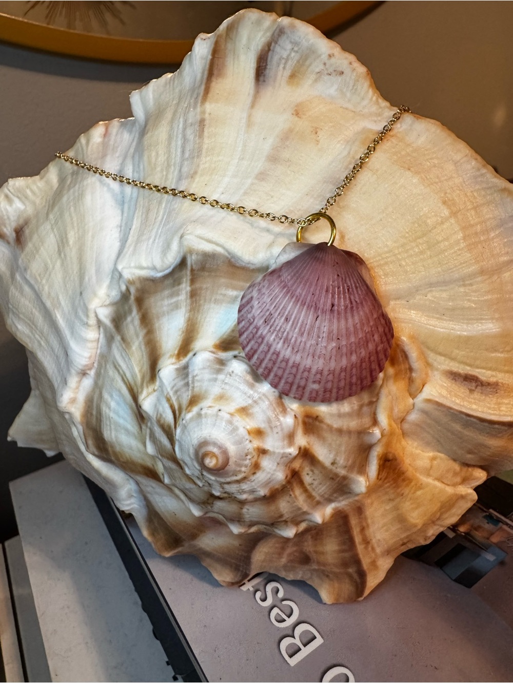 Gold Chain Necklace with Pink Seashell Pendant